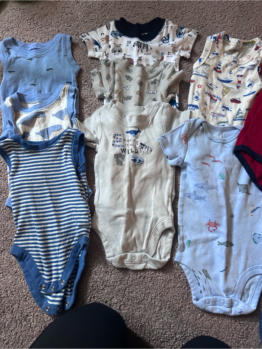 3-6 month boys bundle